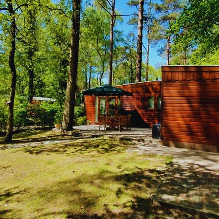 Wooden Nature Chalet - Dennenrhode Doornspijk 빌라 외부 사진