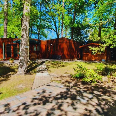 Wooden Nature Chalet - Dennenrhode Doornspijk 빌라 외부 사진