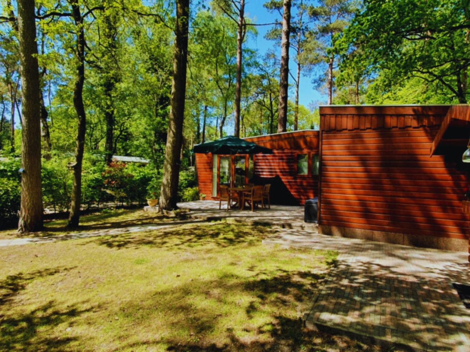 Wooden Nature Chalet - Dennenrhode Doornspijk 빌라 외부 사진