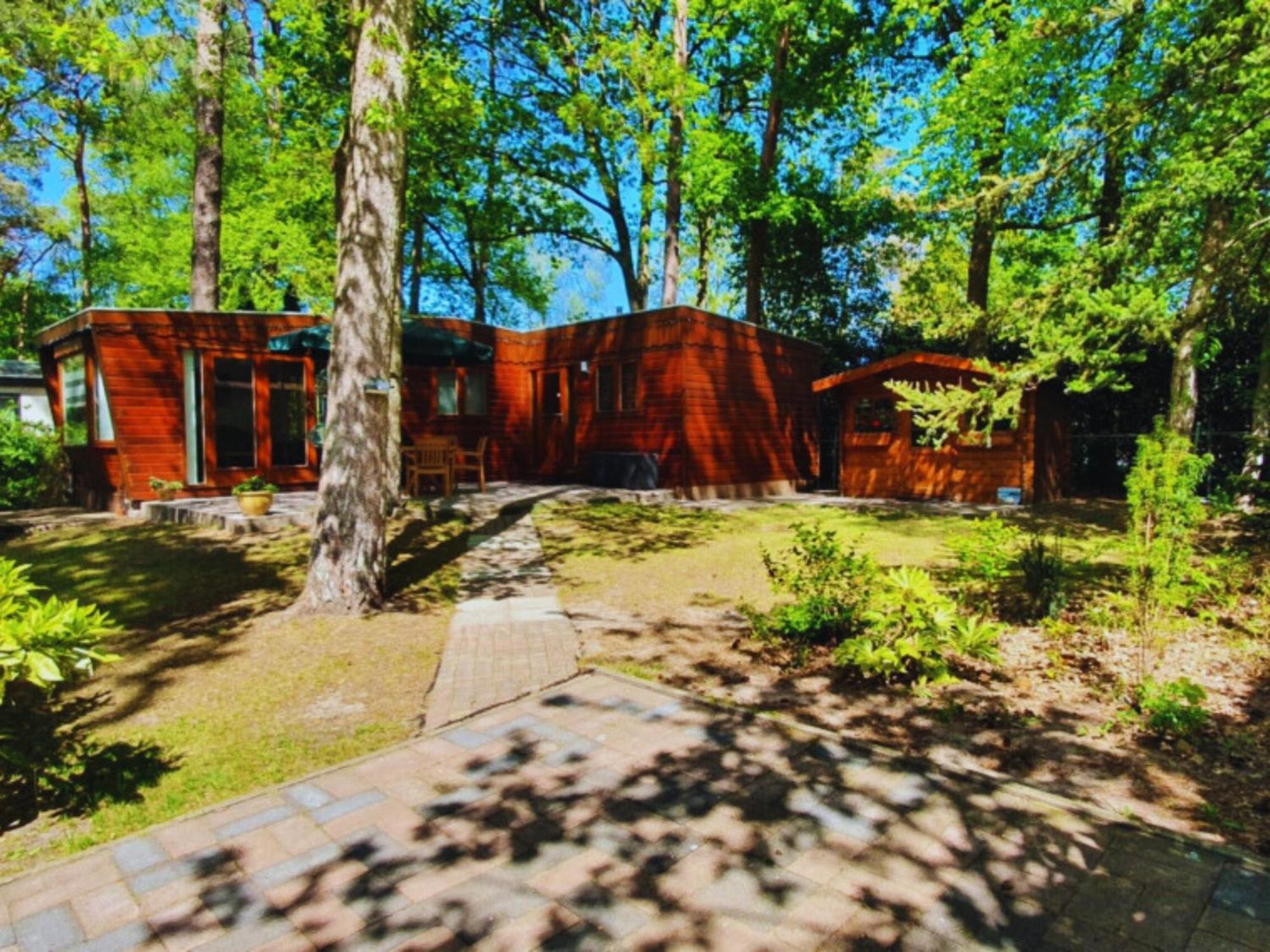 Wooden Nature Chalet - Dennenrhode Doornspijk 빌라 외부 사진
